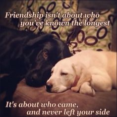 Quote