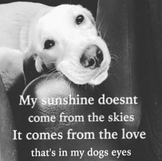 Quote