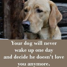 Quote