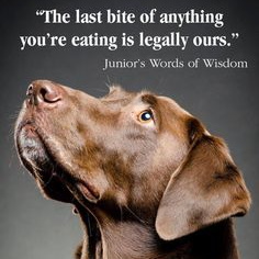 Quote